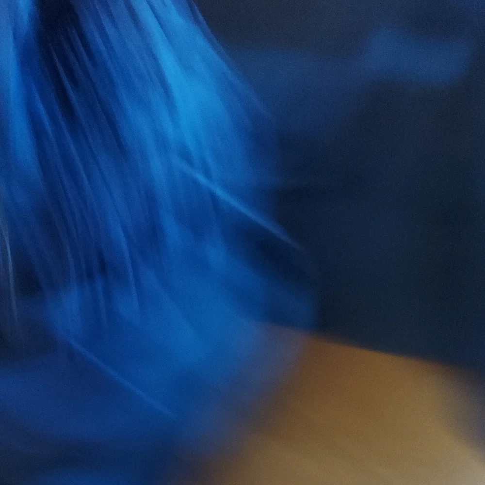 Columbia Navy Outdoor Snow Pants - Picture 6 of 9